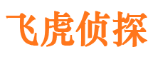 新青市婚姻调查